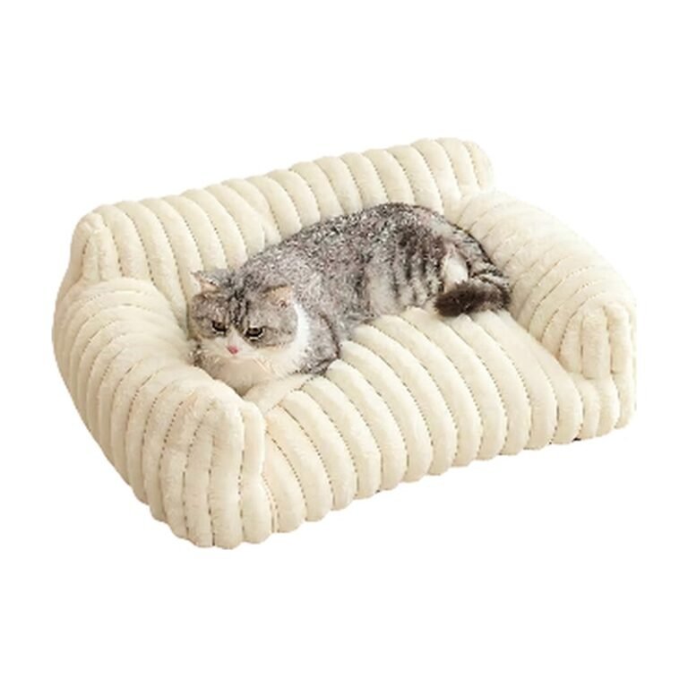 Canapé-lit pour chat avec surface de couchage moelleuse et bords surélevés pour un repos paisible des chats d'intérieur