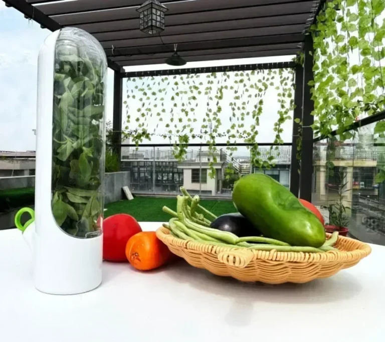 Boîte à herbes fraîches avec verdure sur une table de terrasse sur le toit à côté de légumes