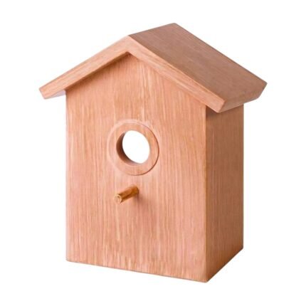 Nichoir de fenêtre à ventouses avec dos transparent pour observer les oiseaux nicheurs de près